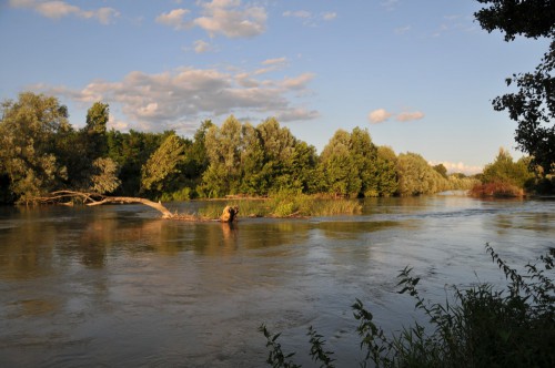 Dunasziget